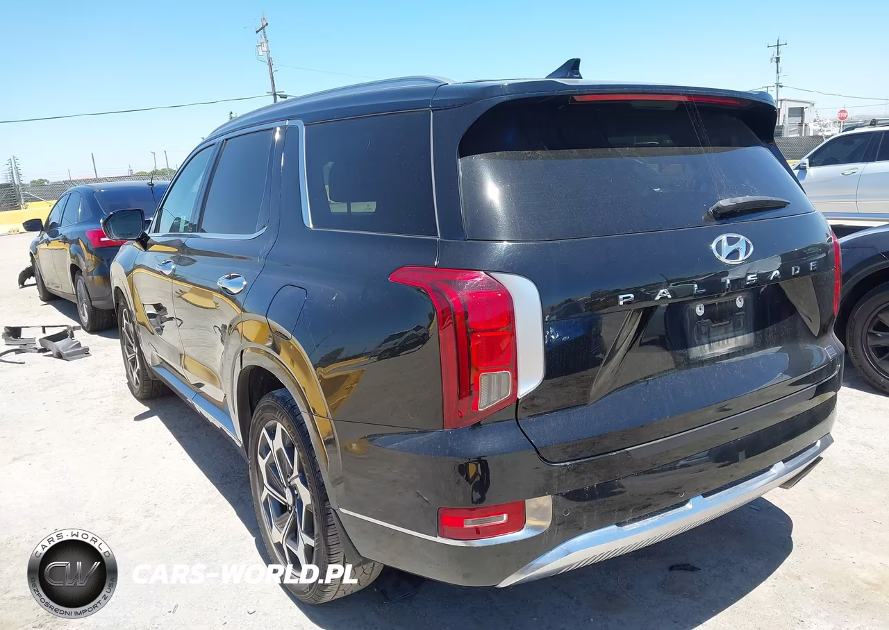 2021 Hyundai Palisade Calligraphy VIN:KM8R74HE0MU333075 - 3