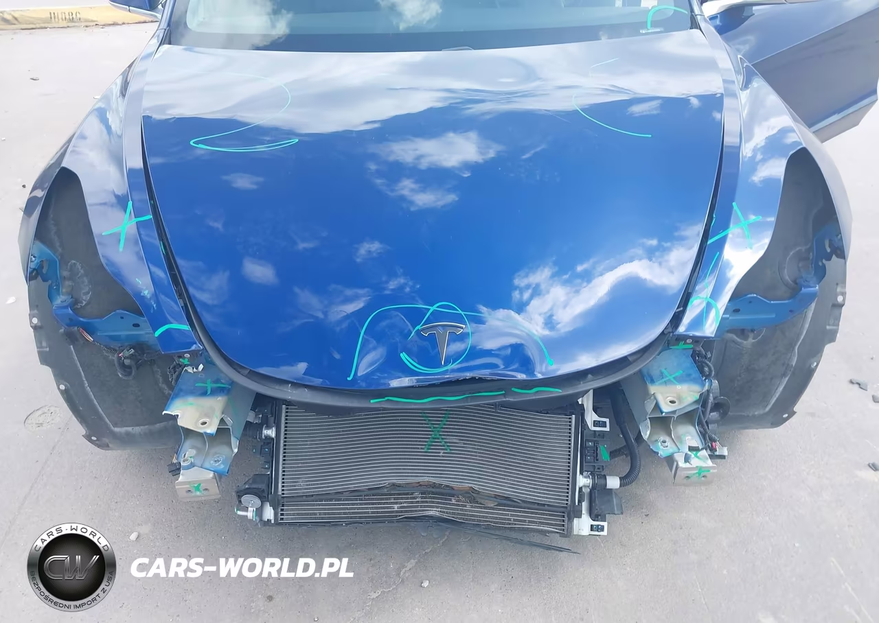2020 Tesla Model 3 Performance Dual Motor All-Wheel Drive VIN:5YJ3E1EC7LF603136 - 6
