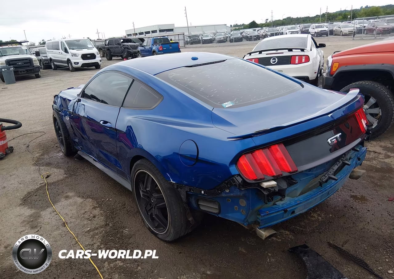 2017 Ford Mustang Gt Premium VIN:1FA6P8CF9H5323956 - 3