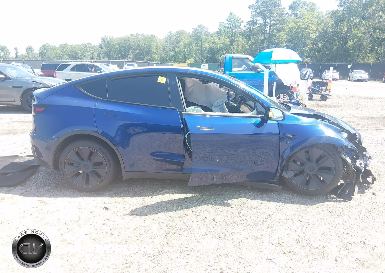 2025 Tesla Model Y Long Range Dual Motor All-Wheel Drive VIN:7SAYGAEE1SF290314 - 12