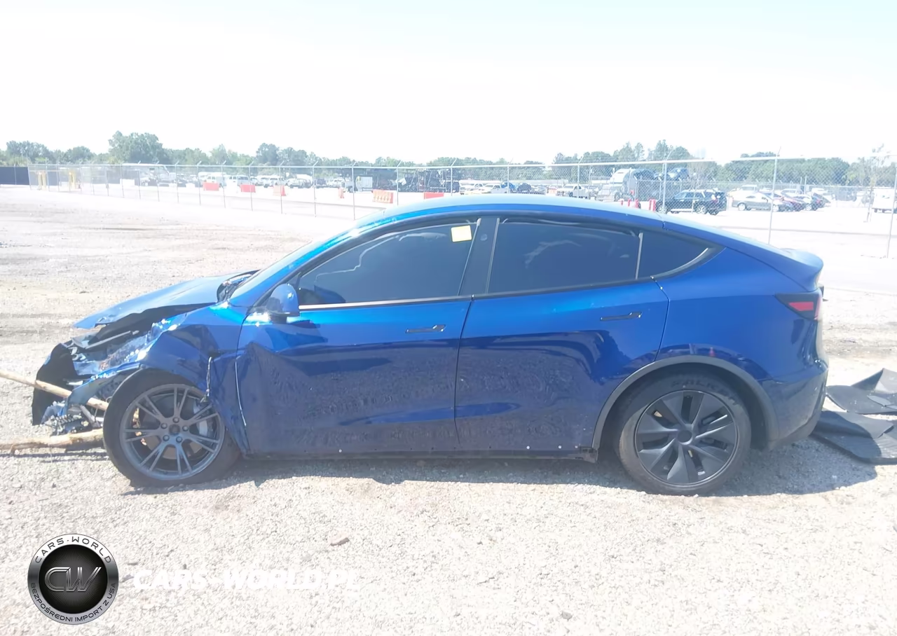 2025 Tesla Model Y Long Range Dual Motor All-Wheel Drive VIN:7SAYGAEE1SF290314 - 13