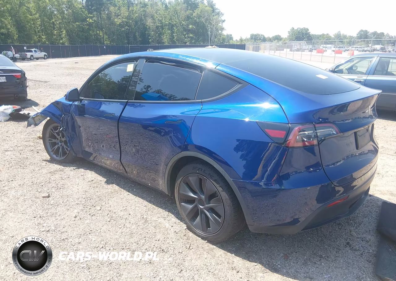 2025 Tesla Model Y Long Range Dual Motor All-Wheel Drive VIN:7SAYGAEE1SF290314 - 3