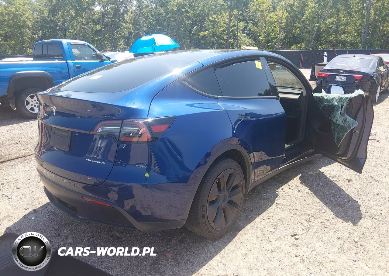 2025 Tesla Model Y Long Range Dual Motor All-Wheel Drive VIN:7SAYGAEE1SF290314 - 4