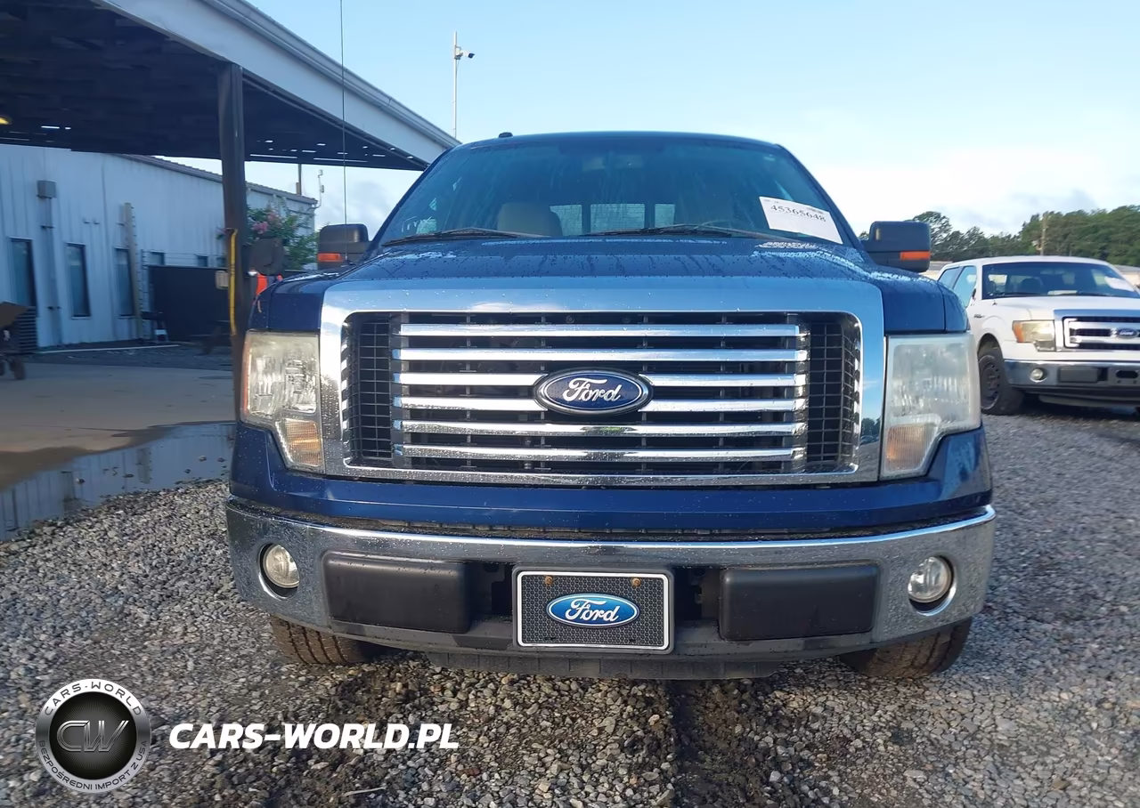 2010 Ford F-150 Fx2 Sport-Xl-Xlt VIN:1FTEW1C86AFD70833 - 12