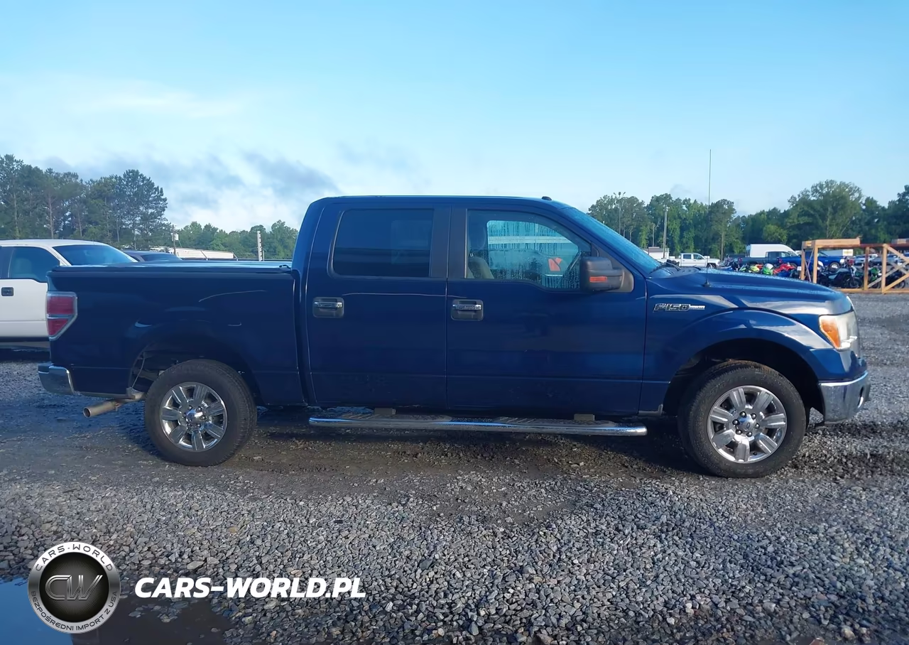 2010 Ford F-150 Fx2 Sport-Xl-Xlt VIN:1FTEW1C86AFD70833 - 13