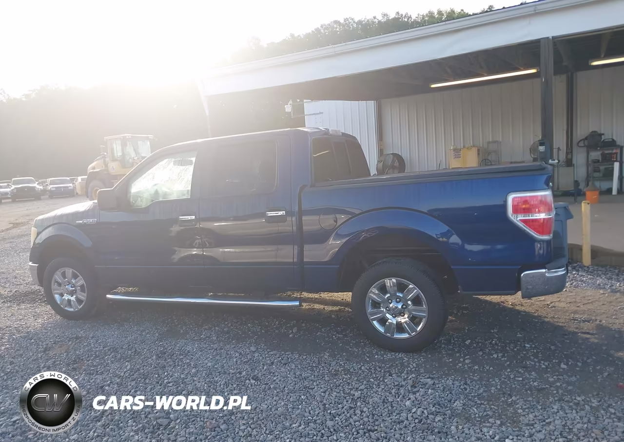 2010 Ford F-150 Fx2 Sport-Xl-Xlt VIN:1FTEW1C86AFD70833 - 14