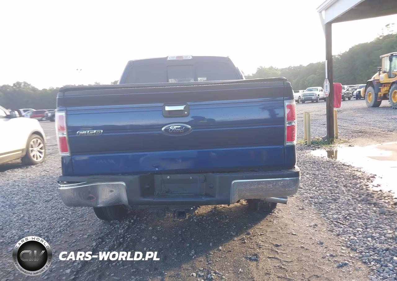 2010 Ford F-150 Fx2 Sport-Xl-Xlt VIN:1FTEW1C86AFD70833 - 16