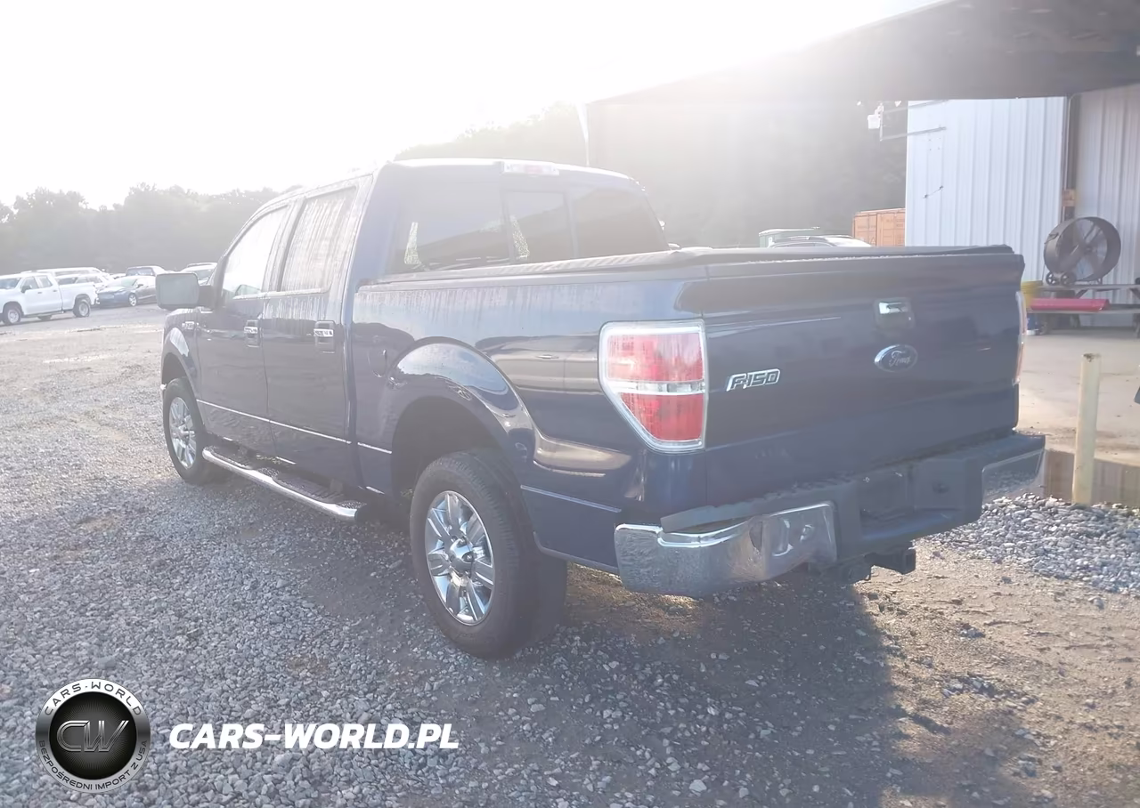 2010 Ford F-150 Fx2 Sport-Xl-Xlt VIN:1FTEW1C86AFD70833 - 3