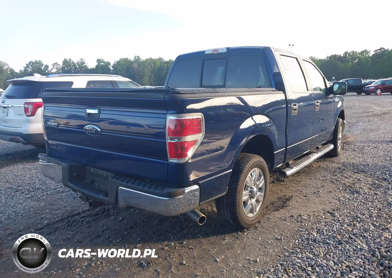 2010 Ford F-150 Fx2 Sport-Xl-Xlt VIN:1FTEW1C86AFD70833 - 4