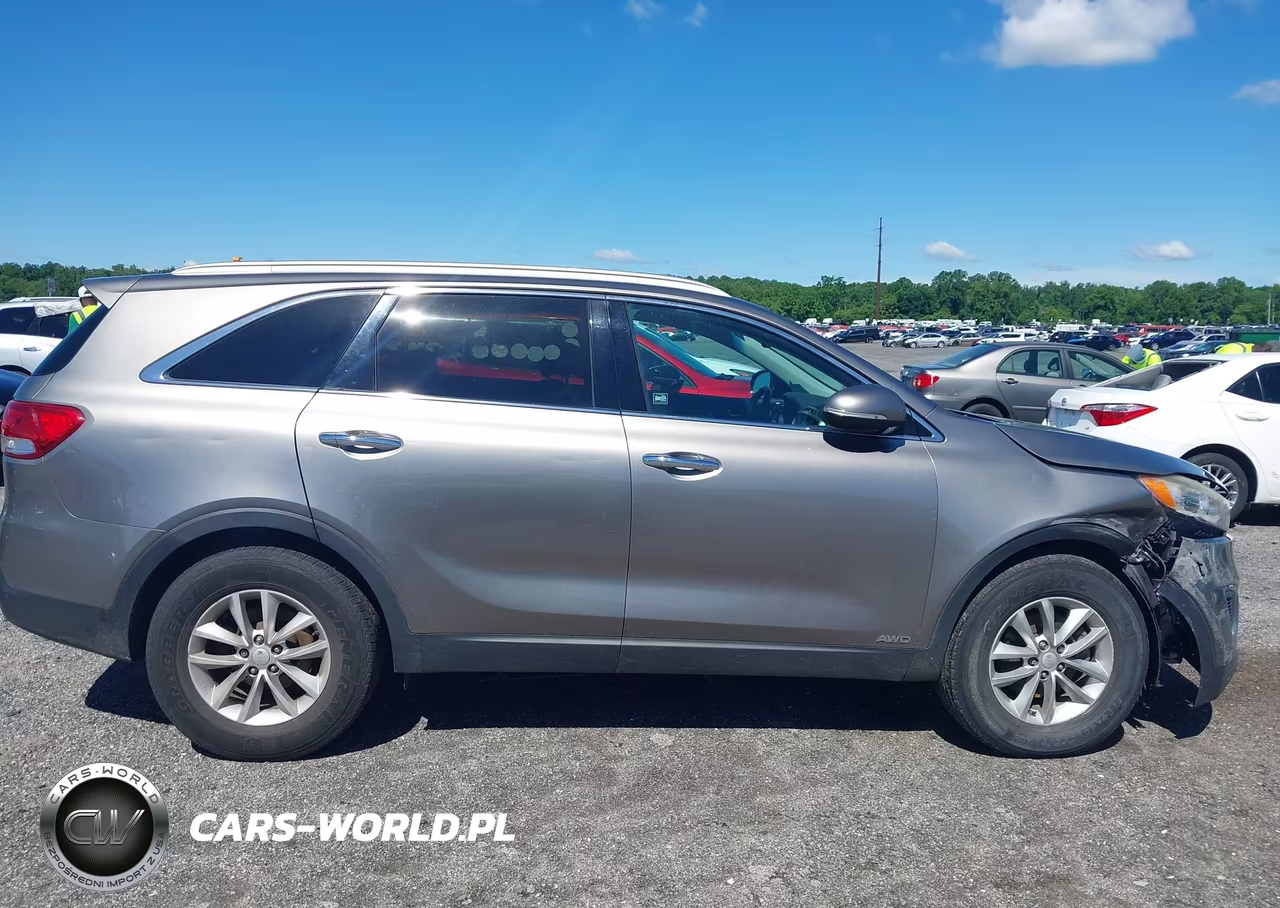 2016 Kia Sorento 2.4L Lx VIN:5XYPGDA30GG061671 - 13