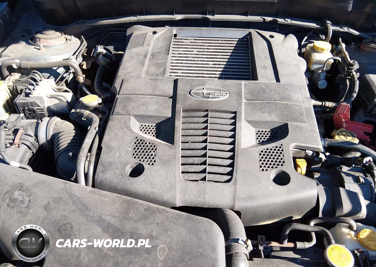 2010 Subaru Forester 2.5Xt Limited VIN:JF2SH6FC6AH732224 - 10