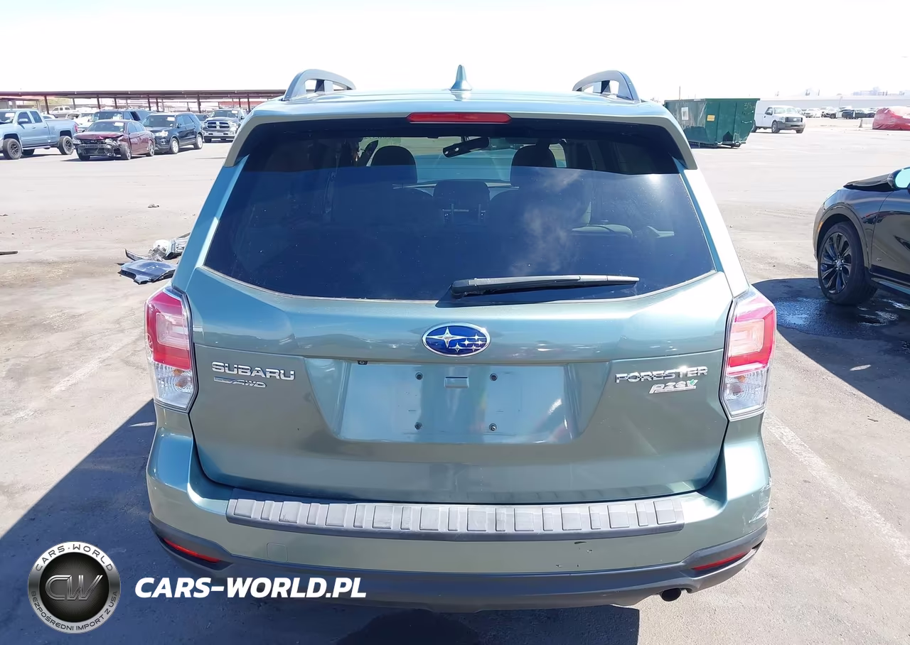 2017 Subaru Forester 2.5I Premium VIN:JF2SJAGCXHH470756 - 17