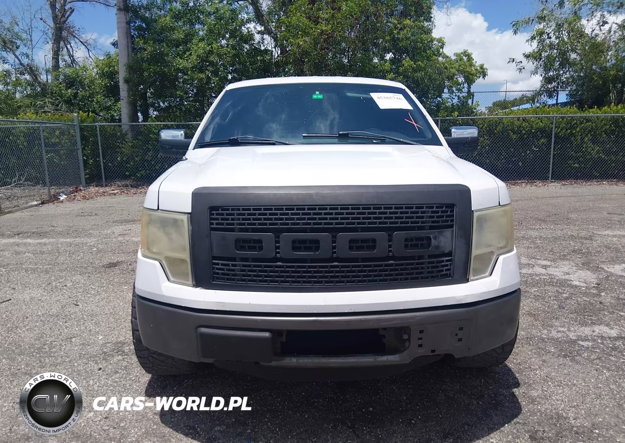 2014 Ford F-150 Stx VIN:1FTEX1CM5EFB02324 - 12