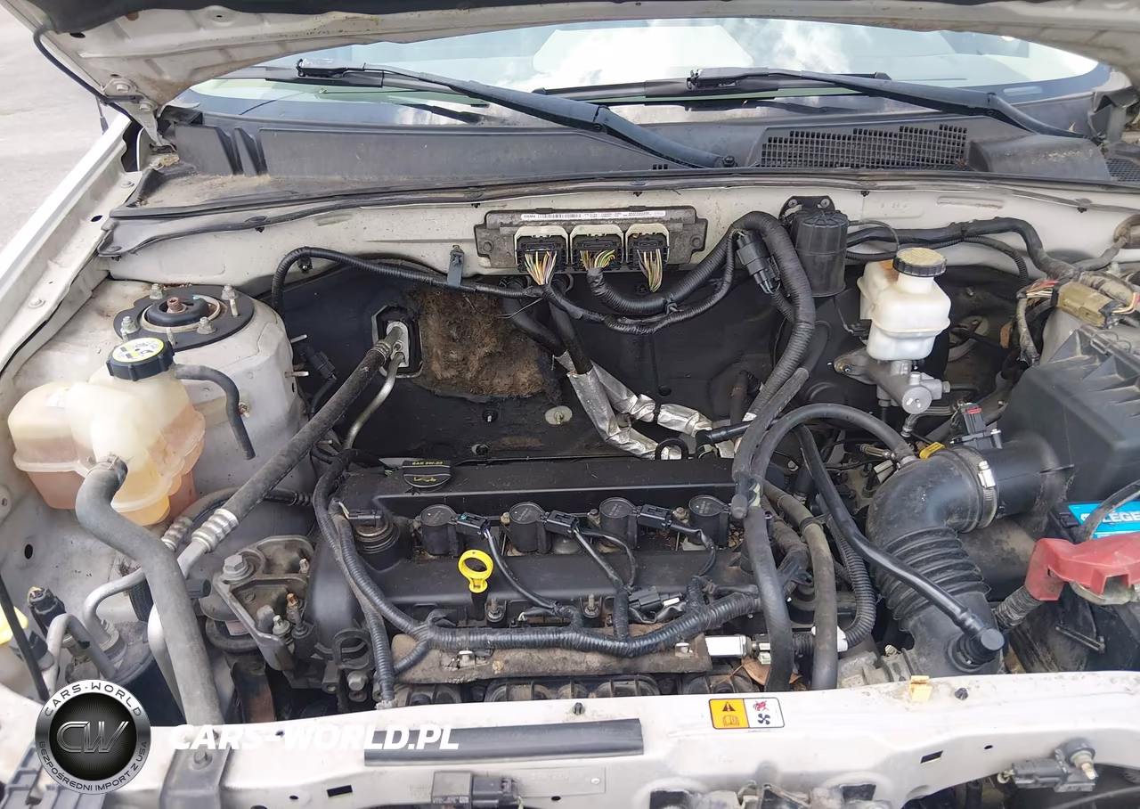 2011 Ford Escape Xlt VIN:1FMCU0D76BKA56973 - 10