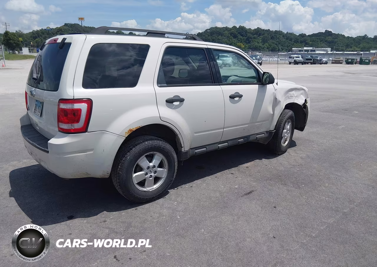 2011 Ford Escape Xlt VIN:1FMCU0D76BKA56973 - 2