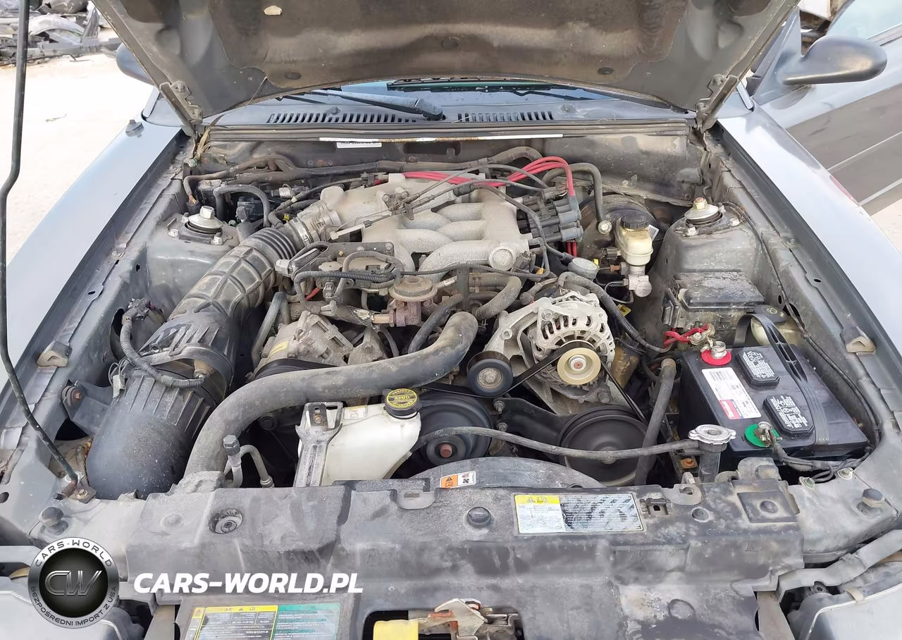 2004 Ford Mustang VIN:1FAFP44694F236599 - 10