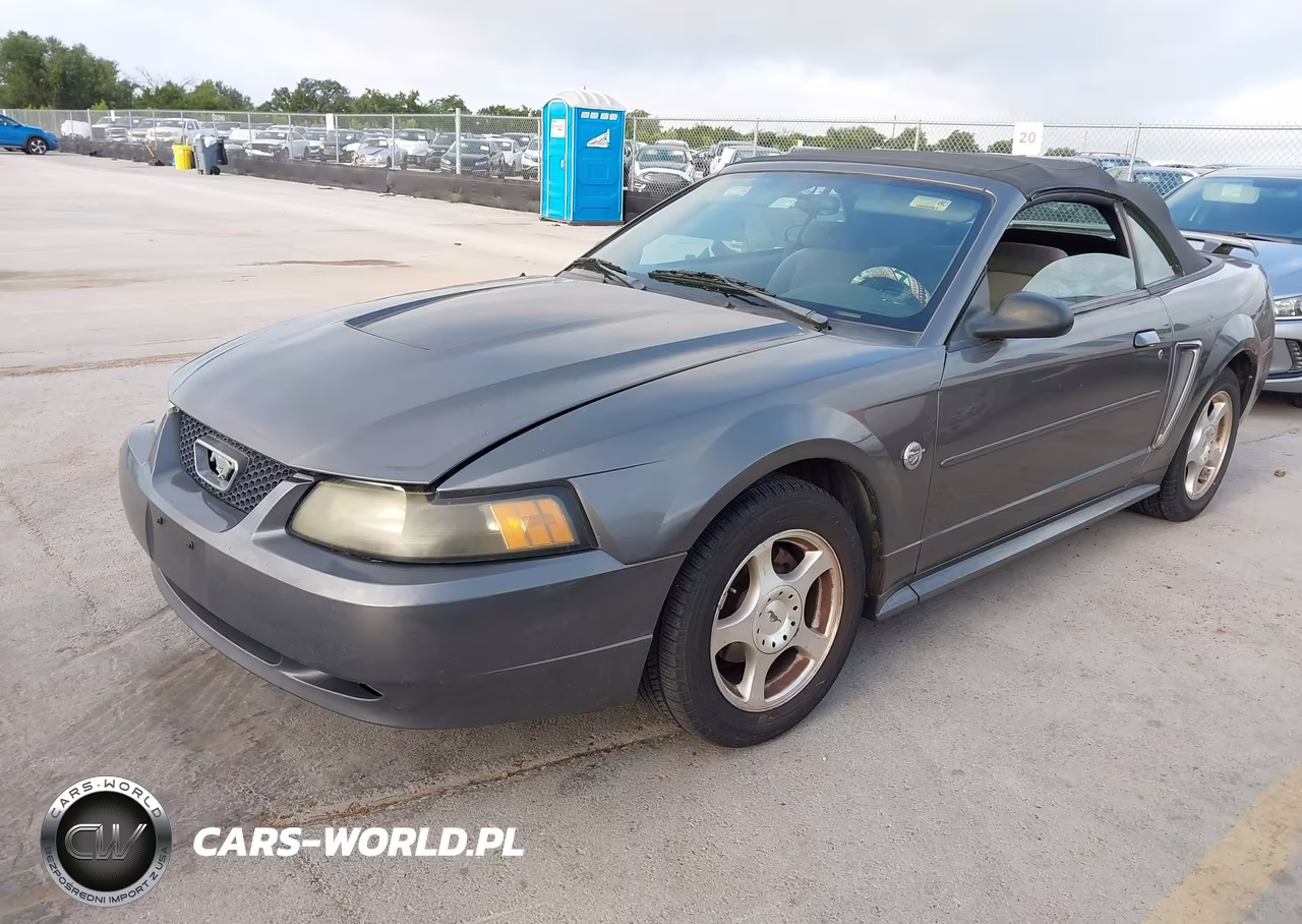 2004 Ford Mustang VIN:1FAFP44694F236599 - 2