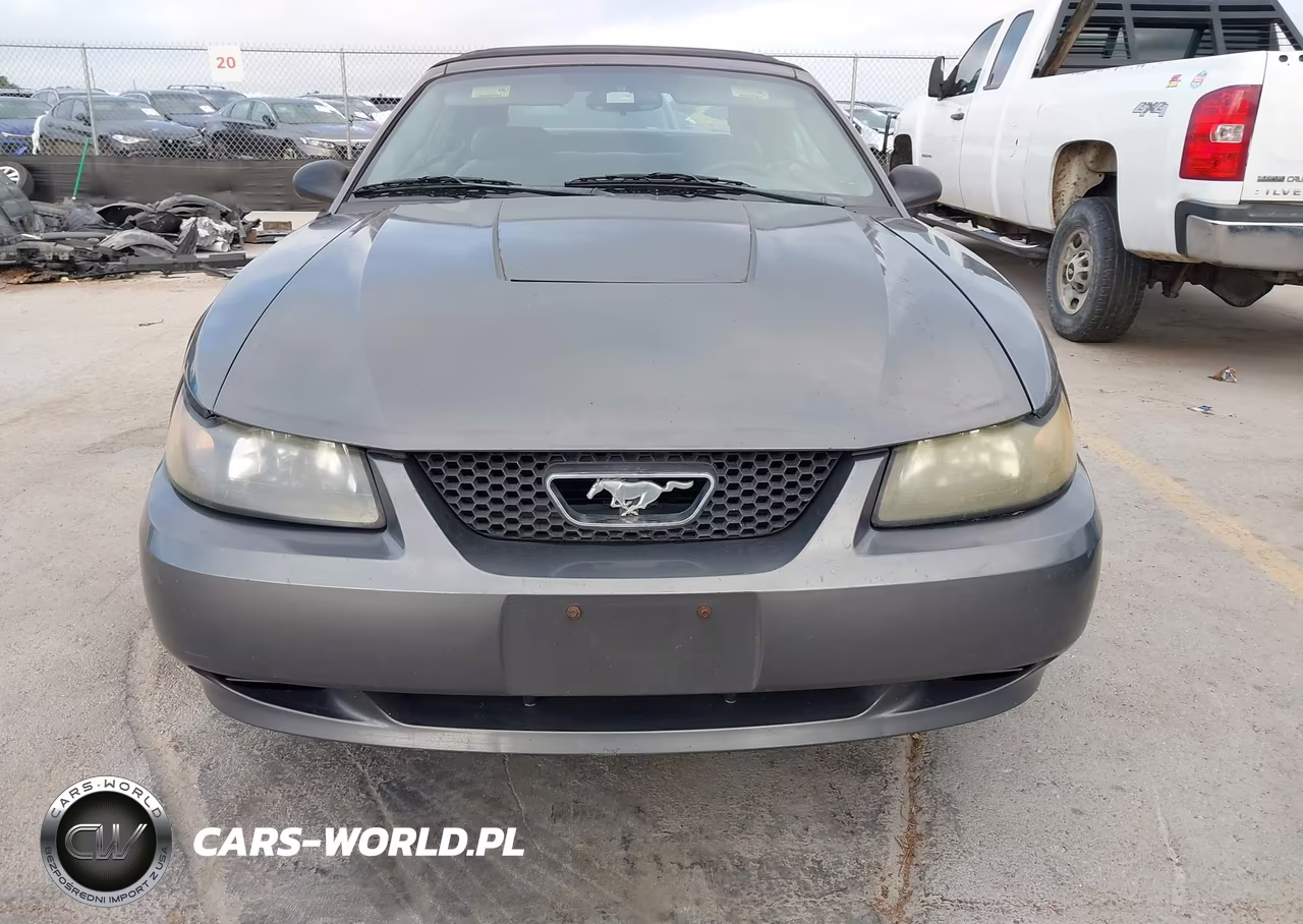 2004 Ford Mustang VIN:1FAFP44694F236599 - 6