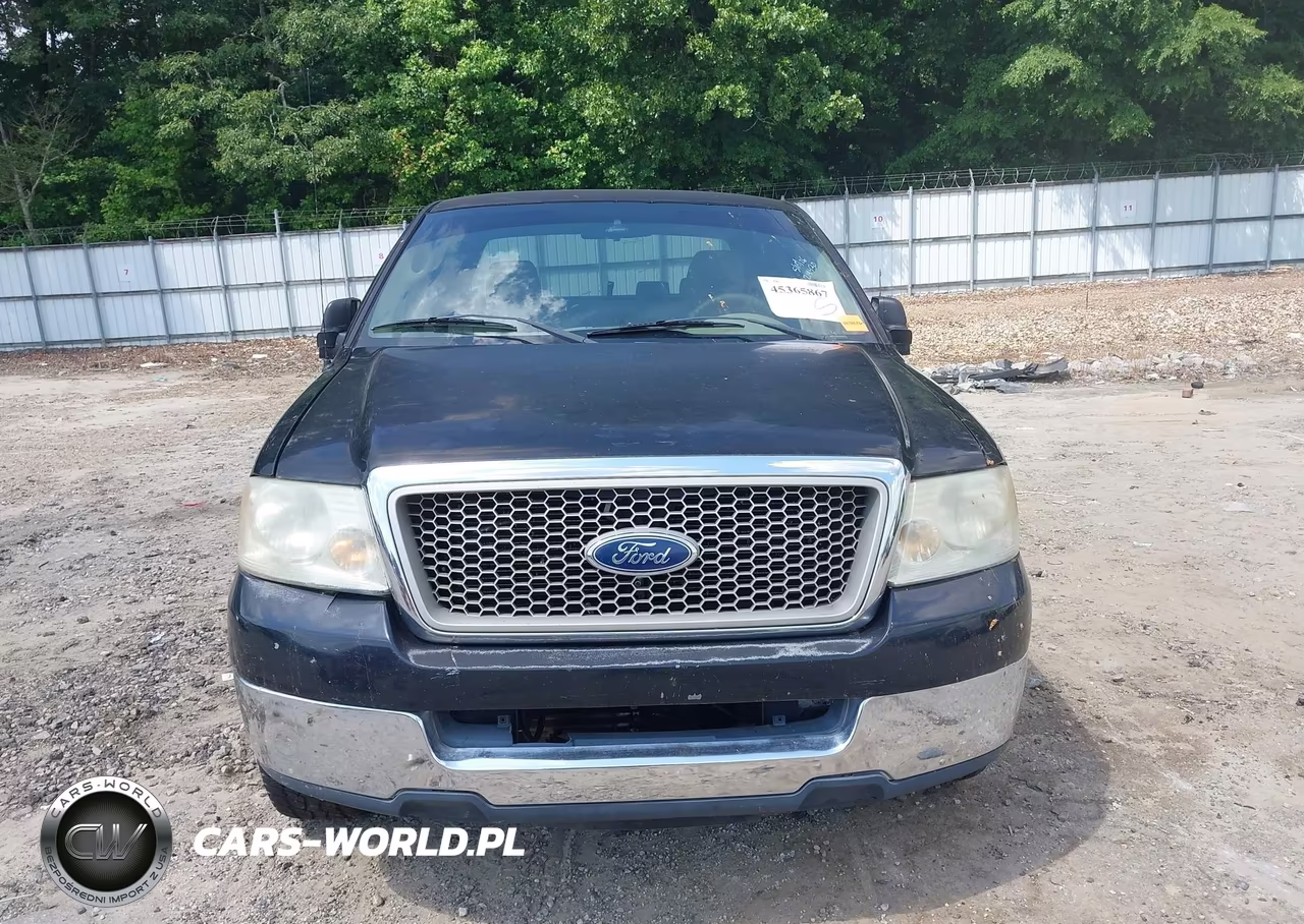 2004 Ford F-150 Stx-Xl-Xlt VIN:1FTRX12W64NA83338 - 13