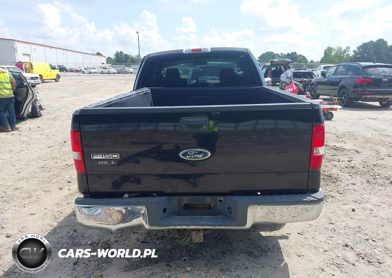 2004 Ford F-150 Stx-Xl-Xlt VIN:1FTRX12W64NA83338 - 17