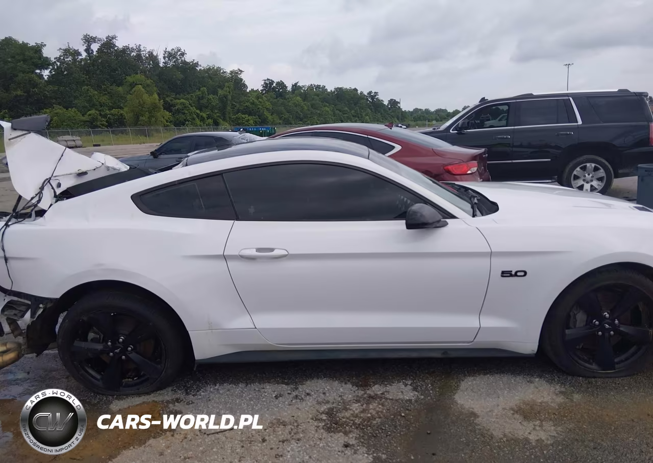 2023 Ford Mustang Gt Fastback VIN:1FA6P8CF3P5307167 - 14