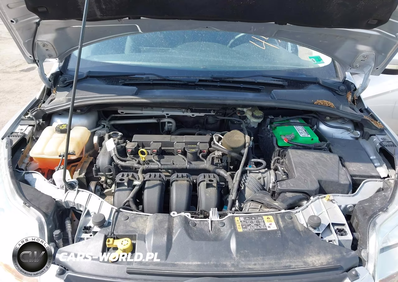 2014 Ford Focus Se VIN:1FADP3F29EL124450 - 10