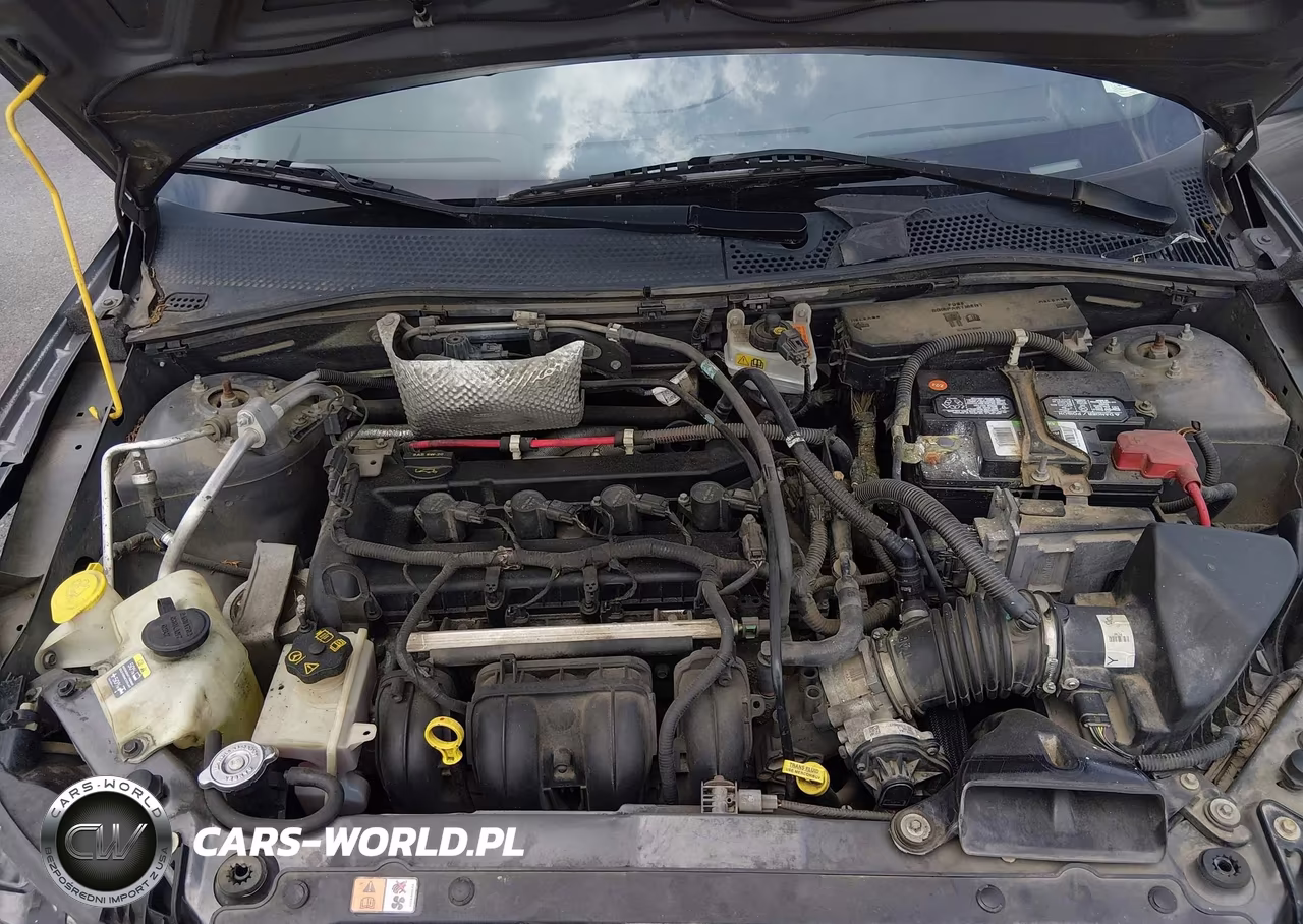 2010 Ford Focus Ses VIN:1FAHP3GNXAW199550 - 10