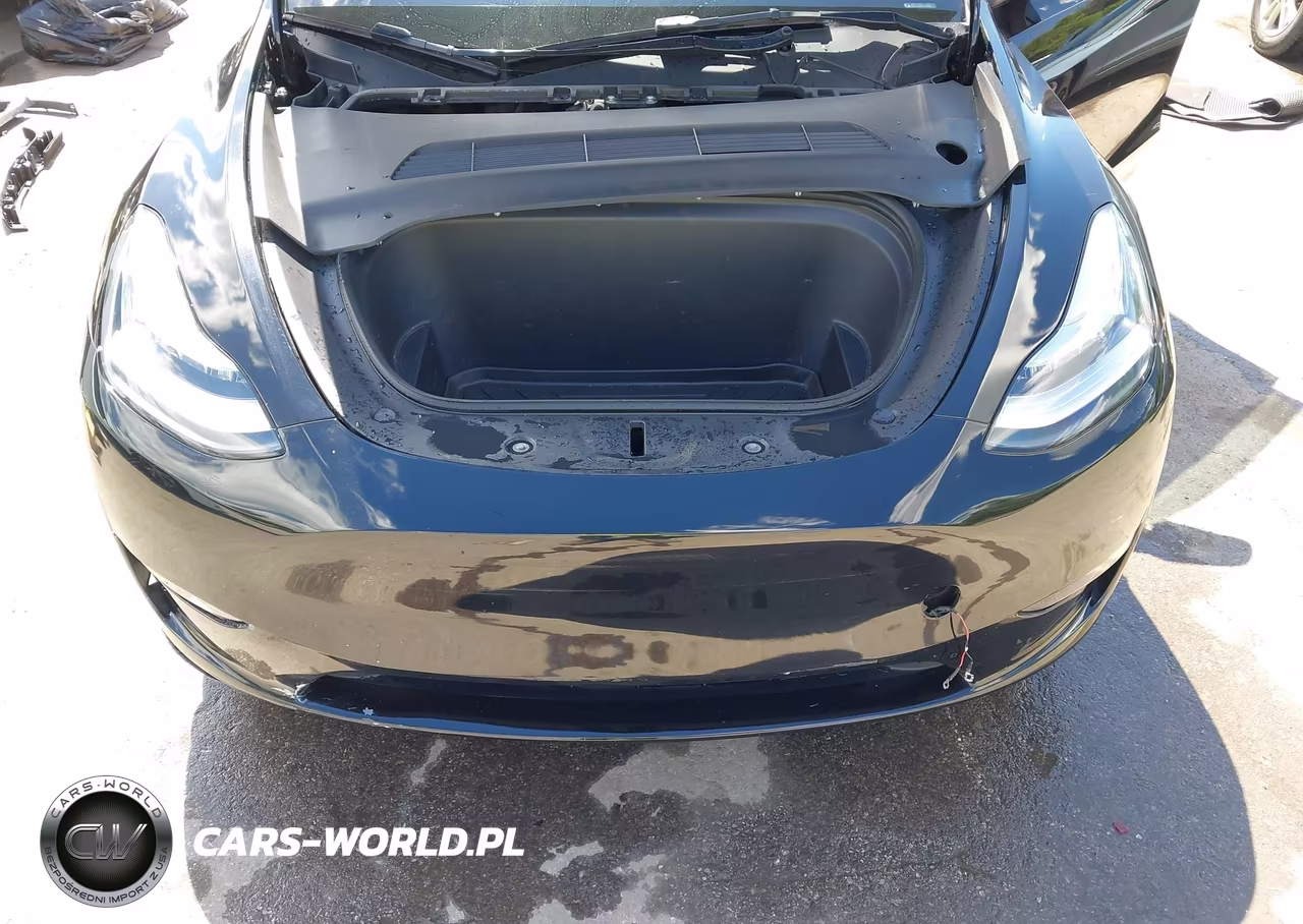2023 Tesla Model Y Awd-Long Range Dual Motor All-Wheel Drive VIN:7SAYGDEEXPA109300 - 10