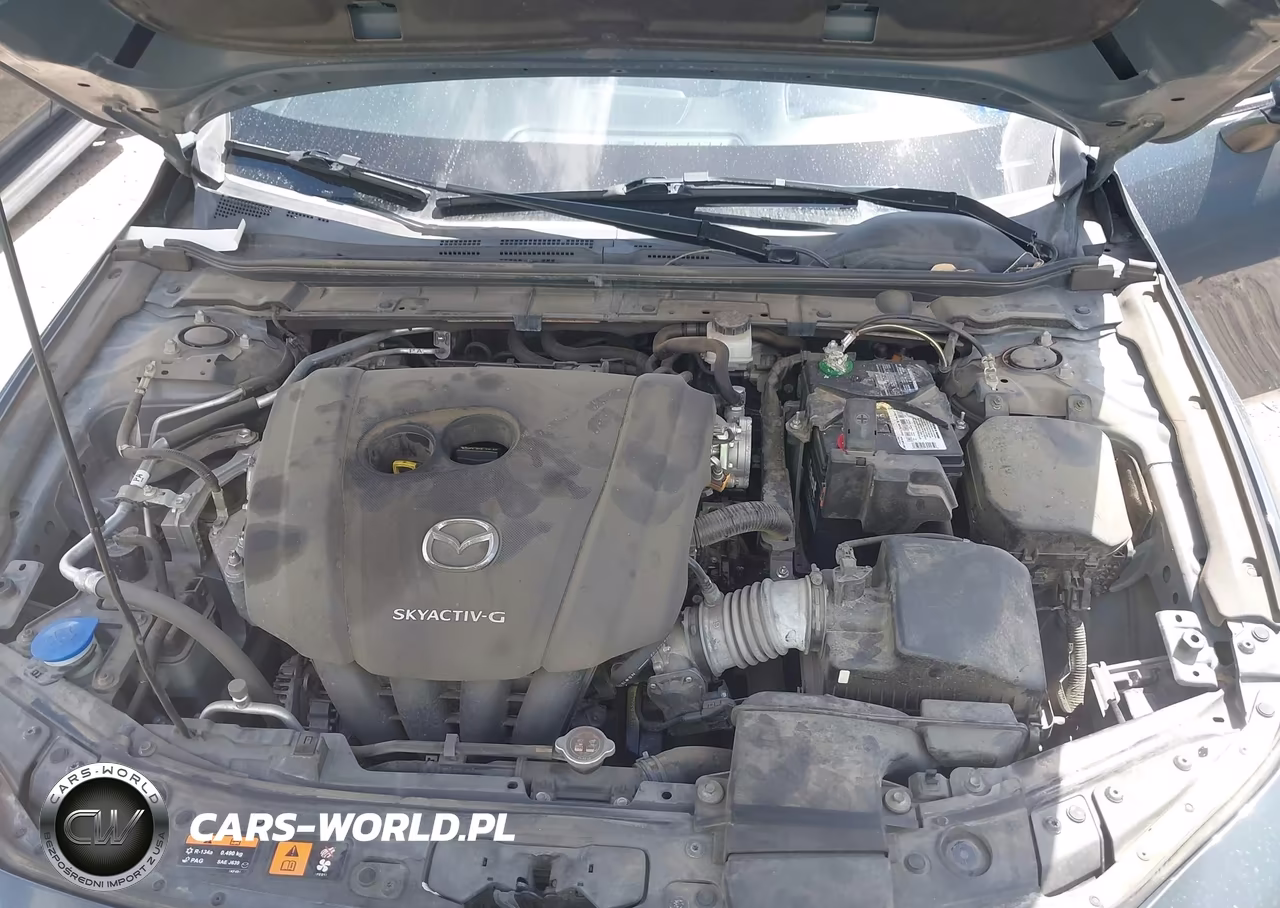 2019 Mazda Mazda3 Premium Package VIN:JM1BPANM0K1131786 - 10