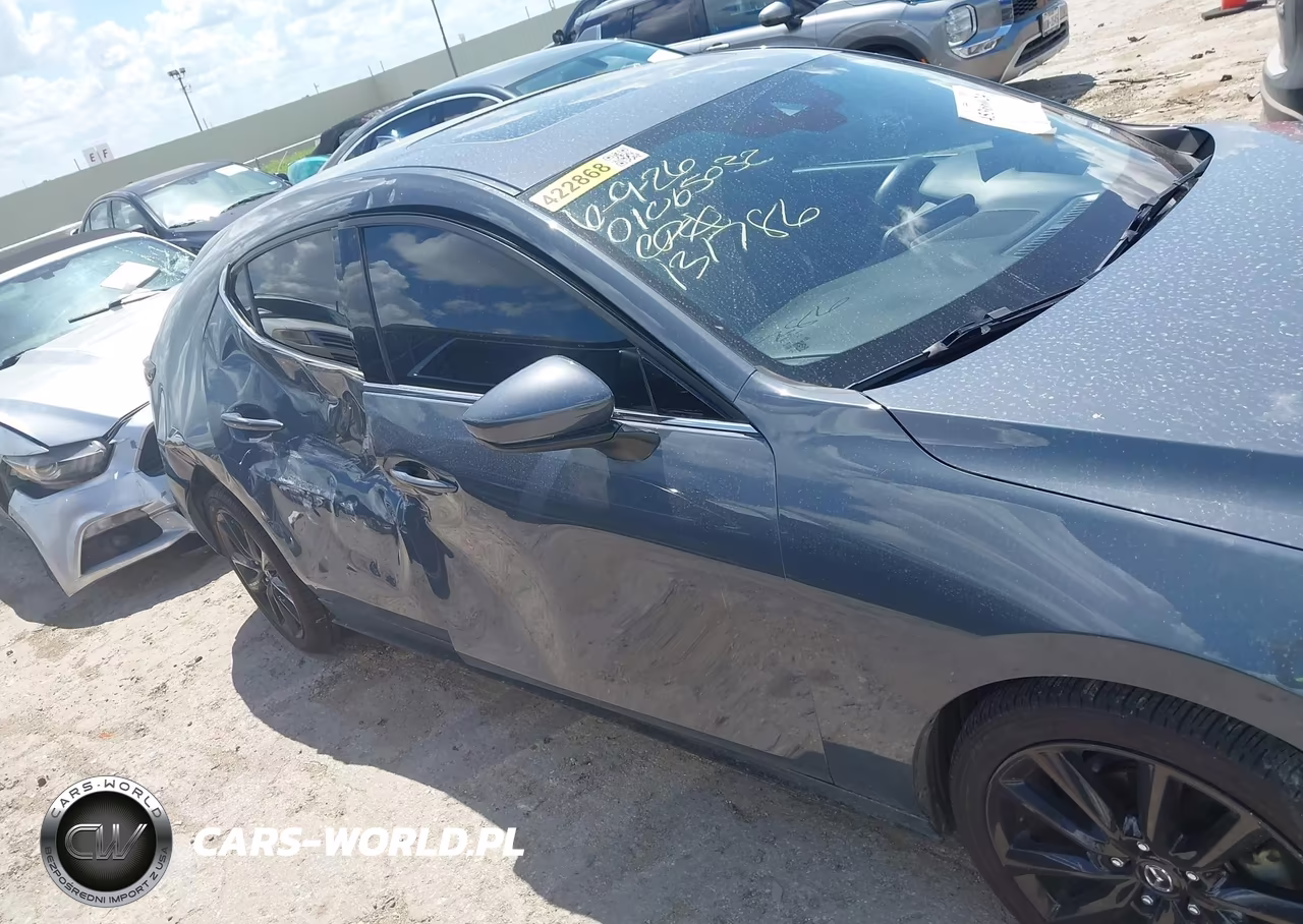 2019 Mazda Mazda3 Premium Package VIN:JM1BPANM0K1131786 - 13