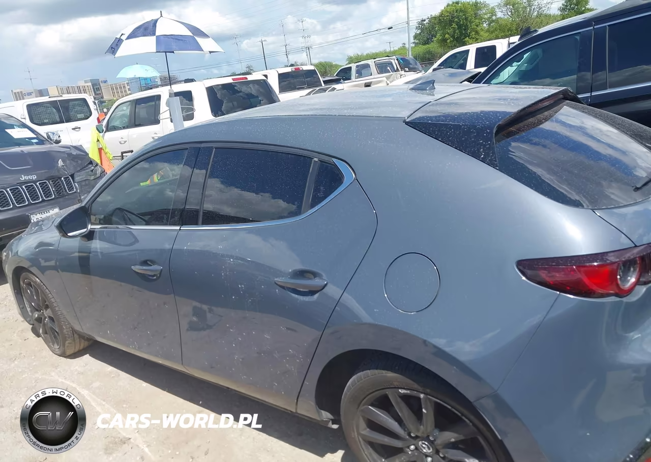 2019 Mazda Mazda3 Premium Package VIN:JM1BPANM0K1131786 - 14