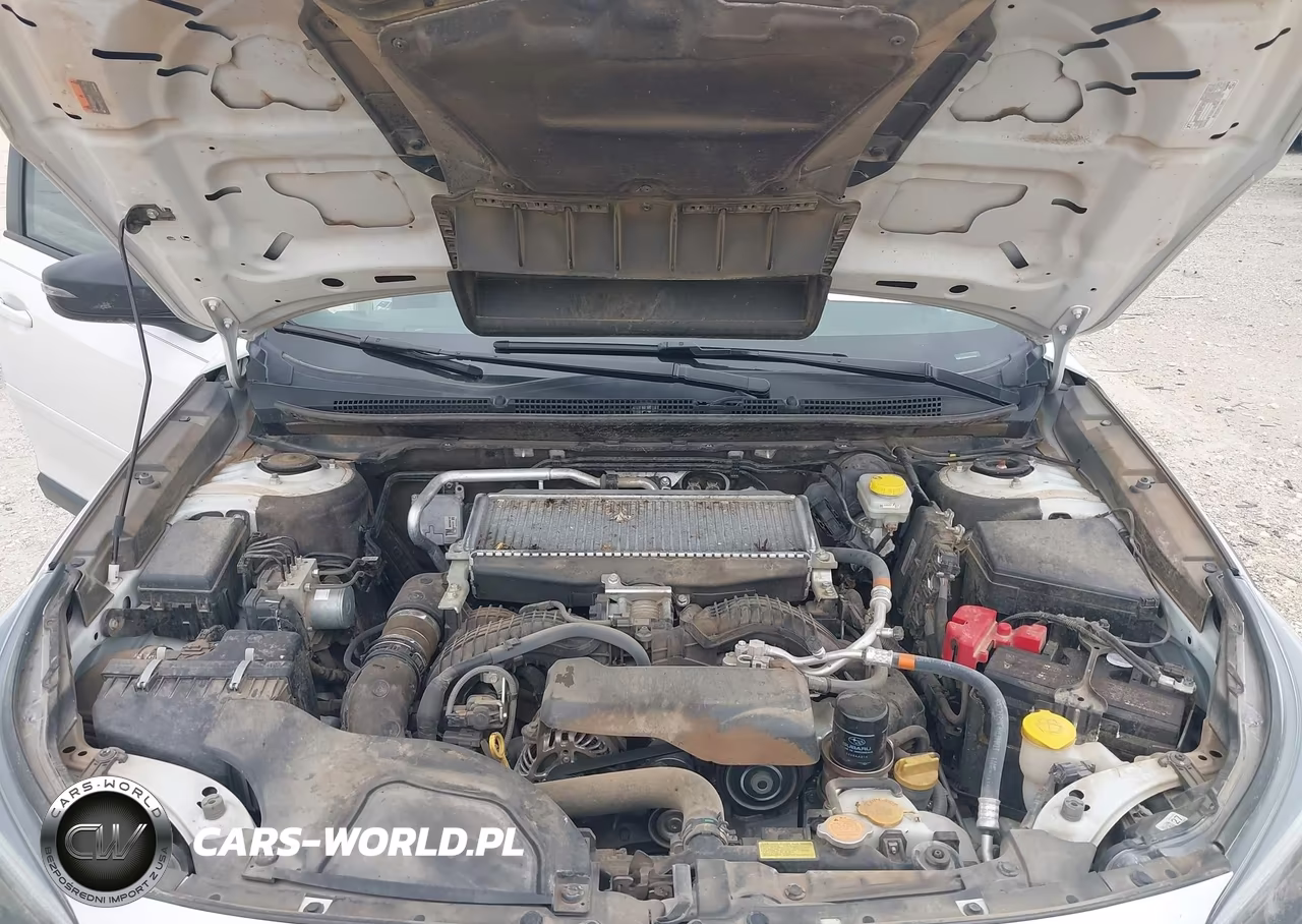 2024 Subaru Outback Wilderness VIN:4S4BTGUD6R3237279 - 10