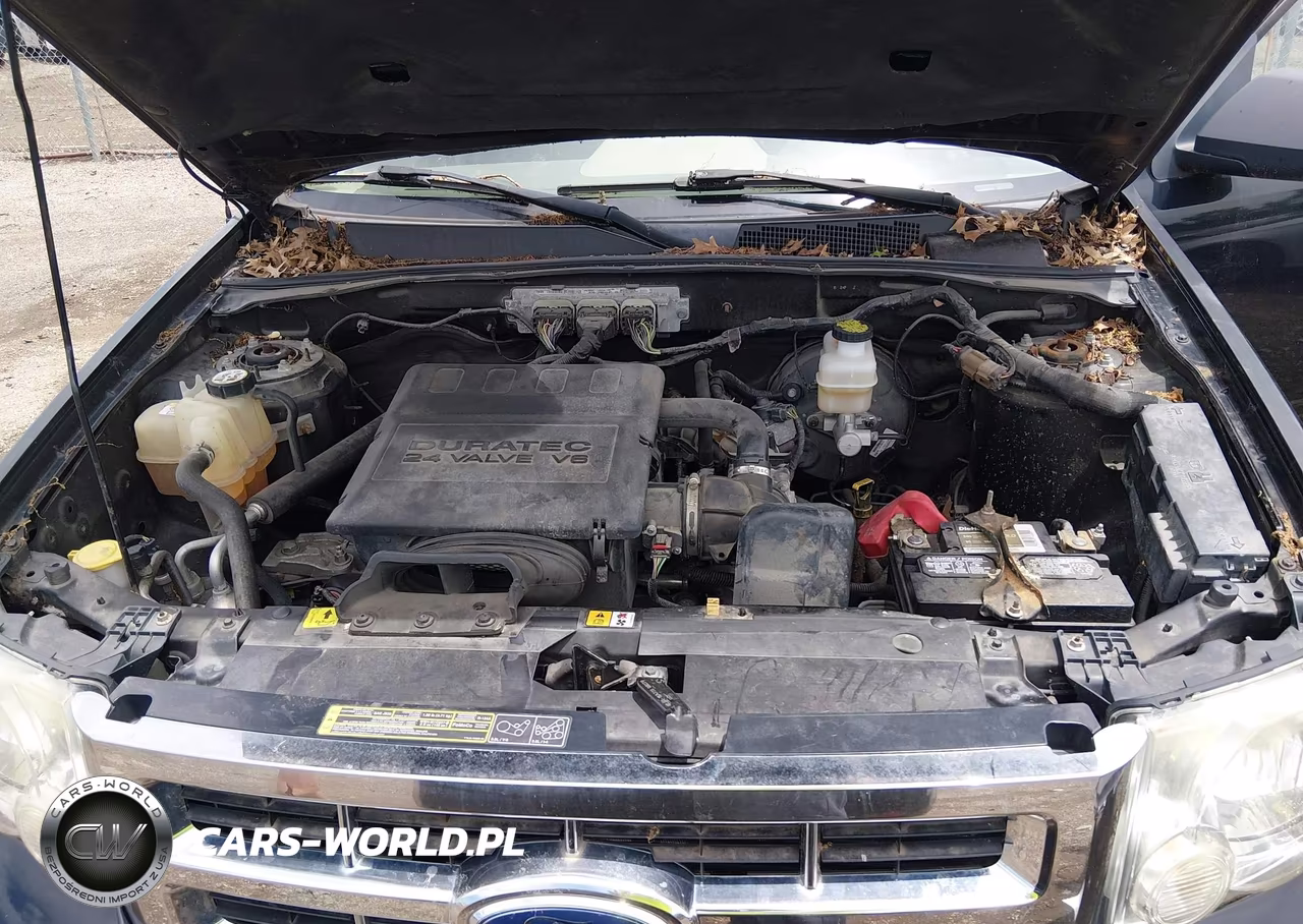 2009 Ford Escape Xlt VIN:1FMCU03G69KA33866 - 10