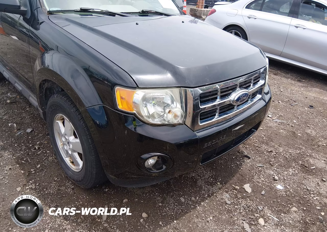 2009 Ford Escape Xlt VIN:1FMCU03G69KA33866 - 12