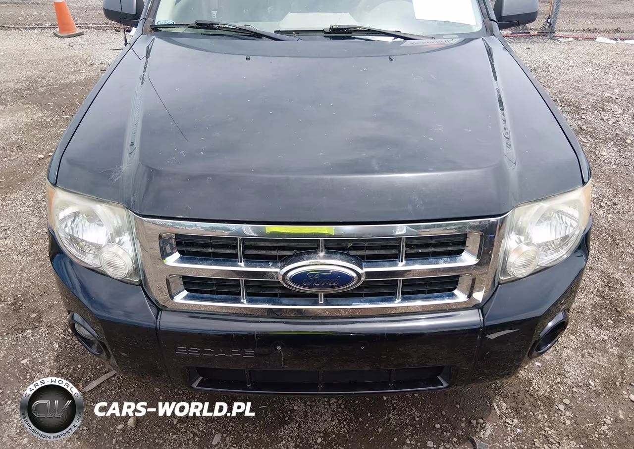 2009 Ford Escape Xlt VIN:1FMCU03G69KA33866 - 13