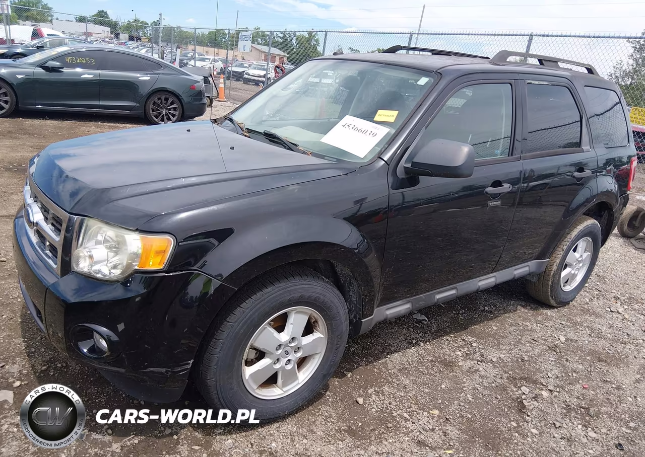 2009 Ford Escape Xlt VIN:1FMCU03G69KA33866 - 2