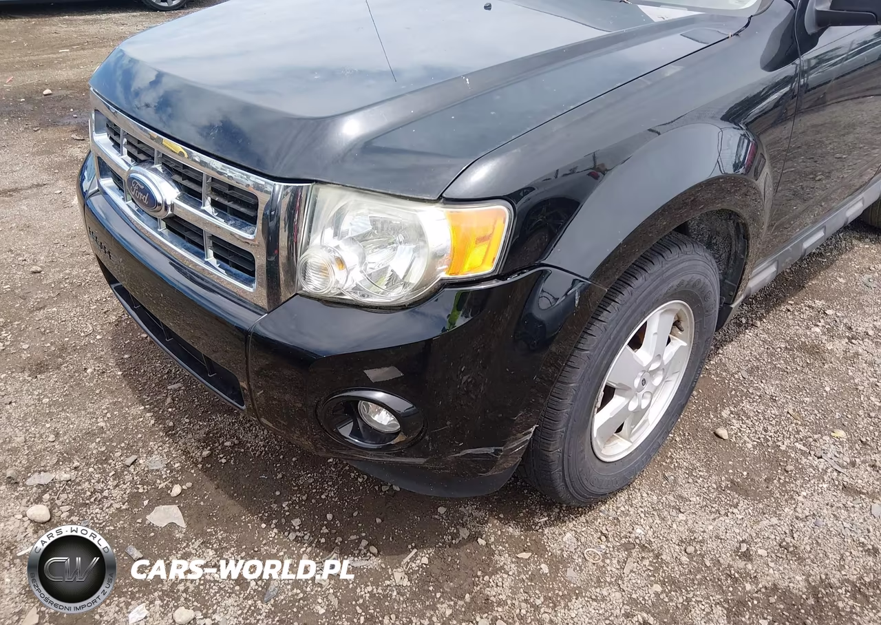 2009 Ford Escape Xlt VIN:1FMCU03G69KA33866 - 6