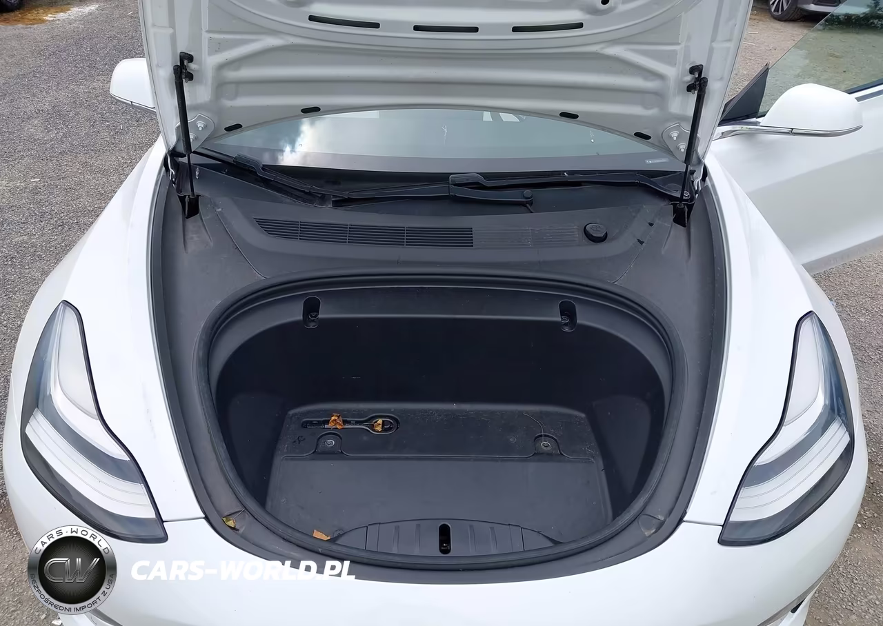 2020 Tesla Model 3 Long Range Dual Motor All-Wheel Drive VIN:5YJ3E1EB3LF703757 - 10