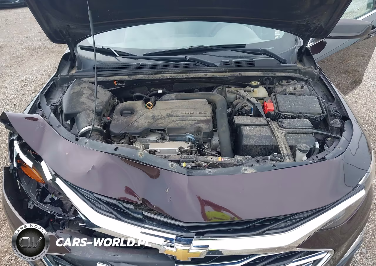 2020 Chevrolet Malibu Fwd 1Fl VIN:1G1ZC5STXLF081067 - 10