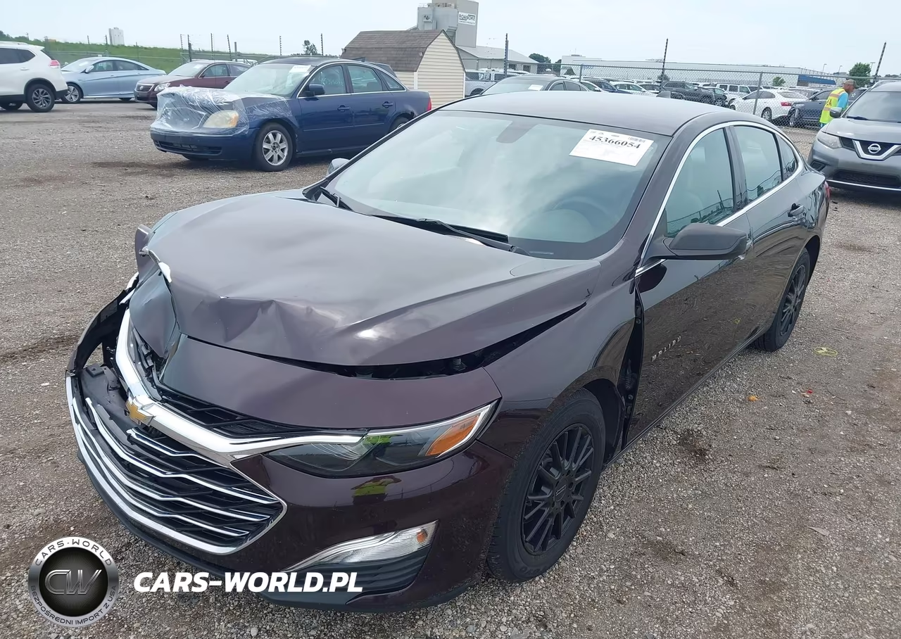 2020 Chevrolet Malibu Fwd 1Fl VIN:1G1ZC5STXLF081067 - 2