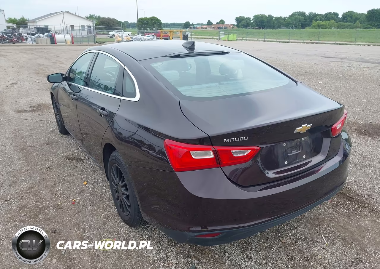 2020 Chevrolet Malibu Fwd 1Fl VIN:1G1ZC5STXLF081067 - 3