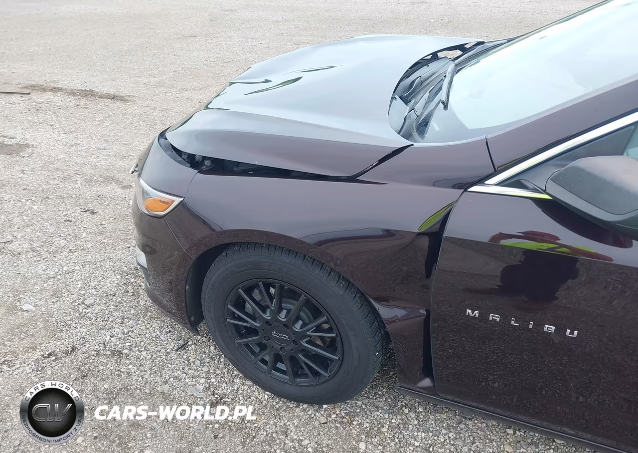2020 Chevrolet Malibu Fwd 1Fl VIN:1G1ZC5STXLF081067 - 6