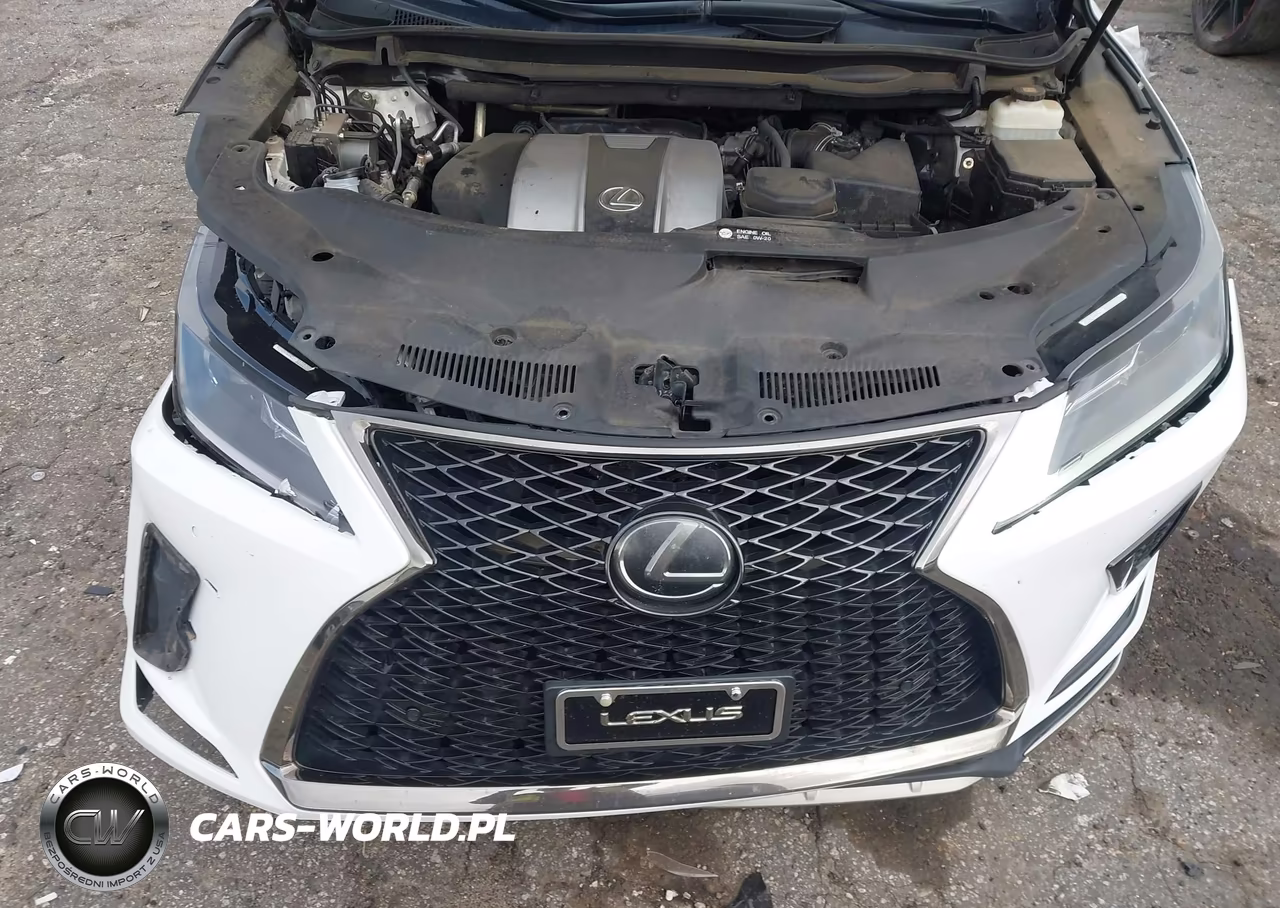 2020 Lexus Rx 350 F Sport VIN:2T2SZMDA2LC251729 - 10