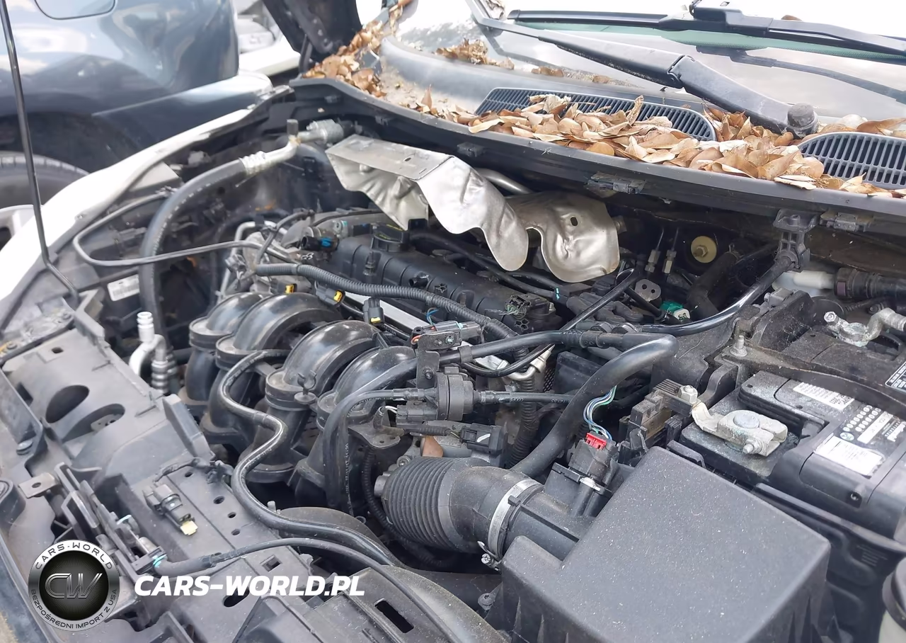 2013 Ford Fiesta Se VIN:3FADP4EJ8DM218105 - 10