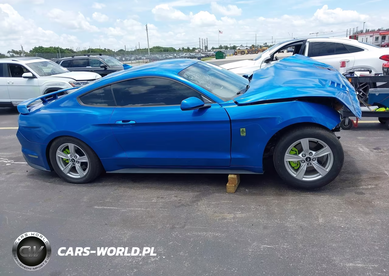 2021 Ford Mustang Ecoboost Fastback VIN:1FA6P8TH6M5117182 - 14