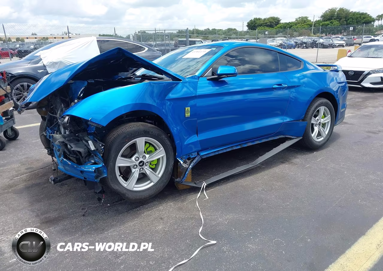 2021 Ford Mustang Ecoboost Fastback VIN:1FA6P8TH6M5117182 - 2