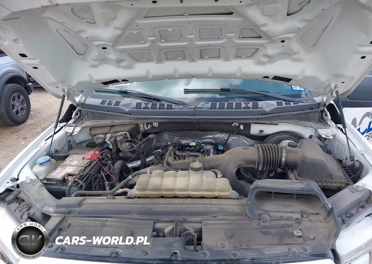 2020 Ford F-150 Xl VIN:1FTEW1CP4LKE15219 - 10