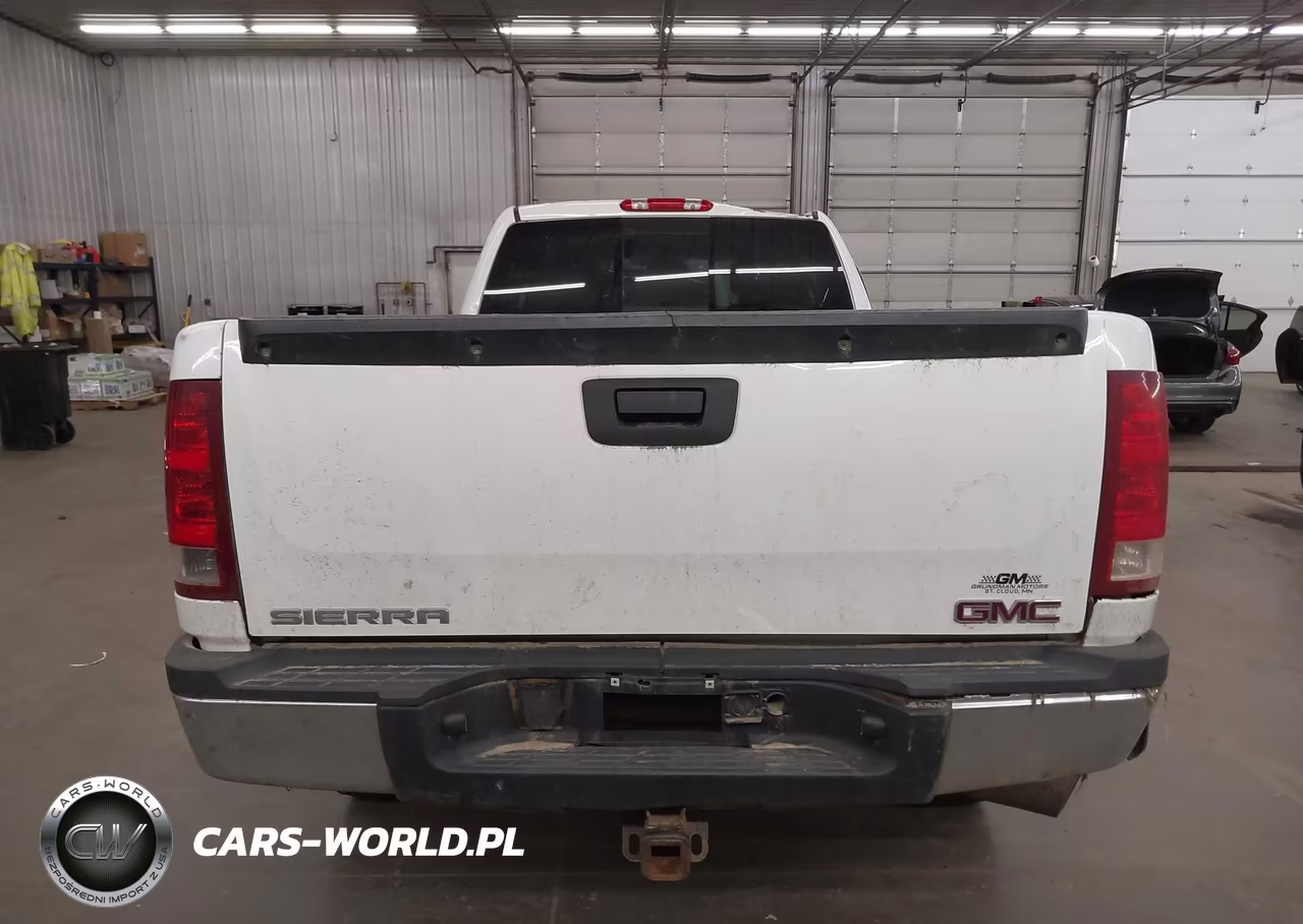 2009 GMC Sierra 2500Hd Work Truck VIN:1GTHK49619E123866 - 16