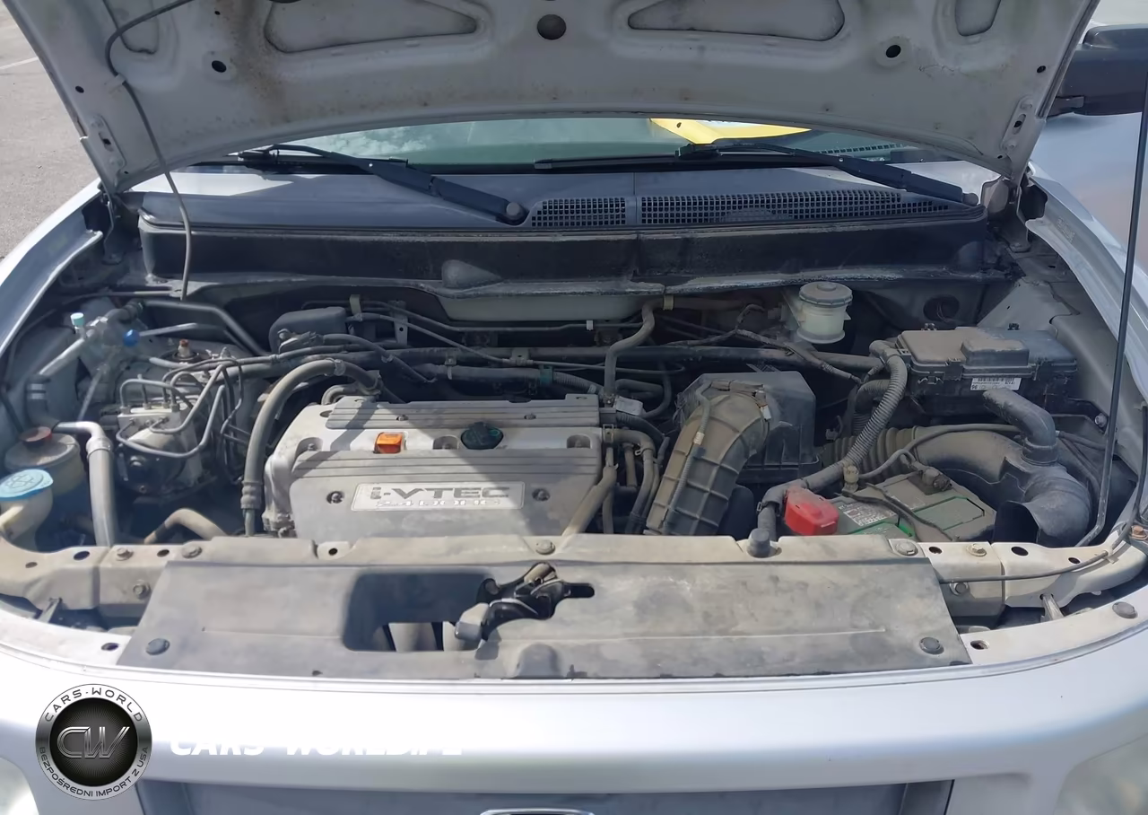2008 Honda Element Sc VIN:5J6YH18958L016980 - 10