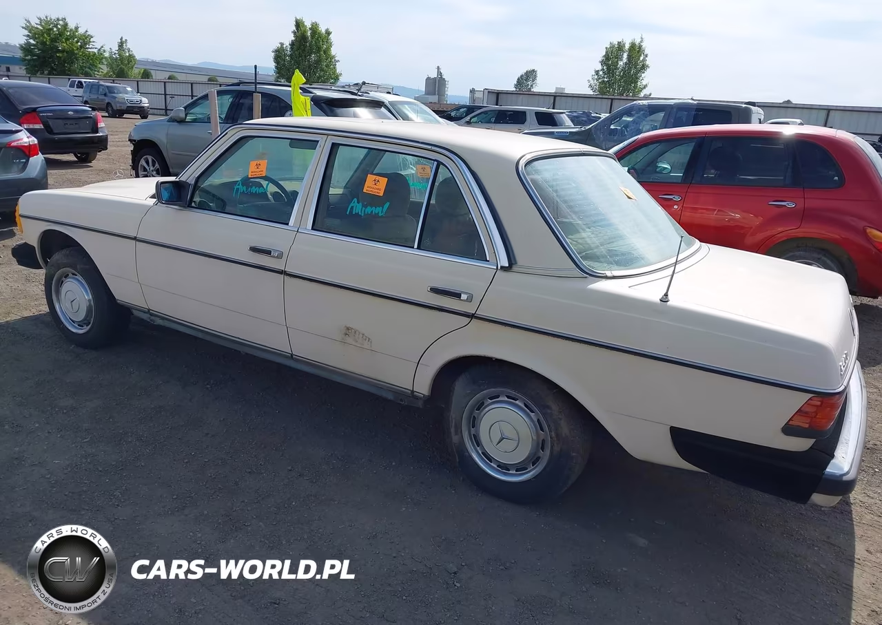 1983 Mercedes-Benz 240 D VIN:WDBAB23A0DB390329 - 3